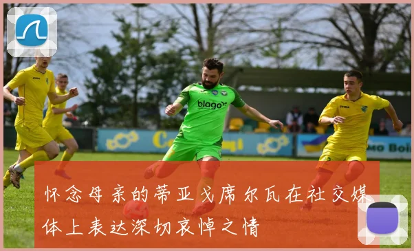 怀念母亲的蒂亚戈席尔瓦在社交媒体上表达深切哀悼之情